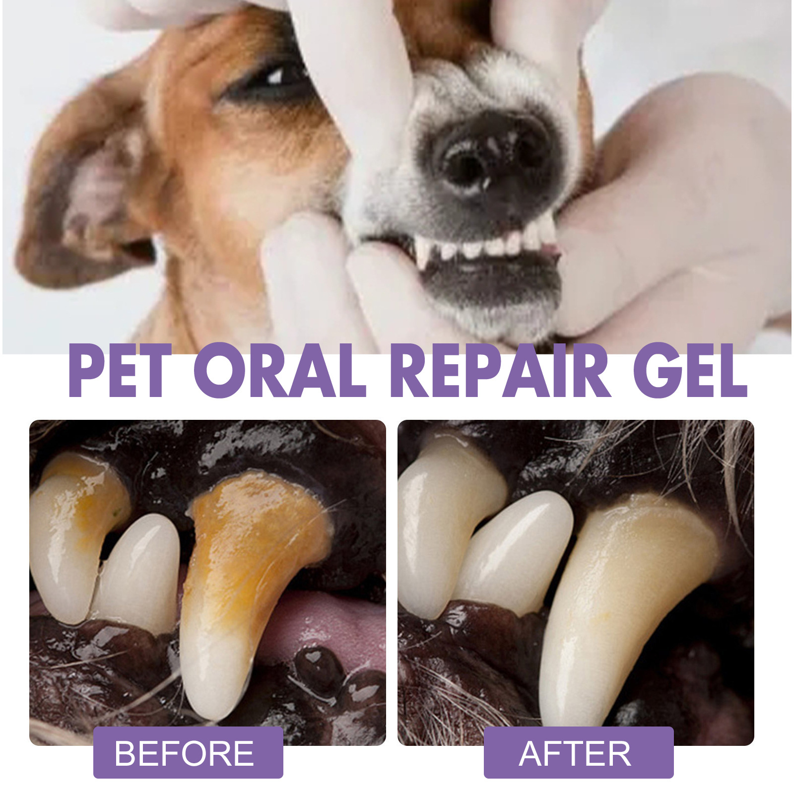 Pet Oral Repair Gel Puppy Tart - Teeth Whitening Clinic review and price